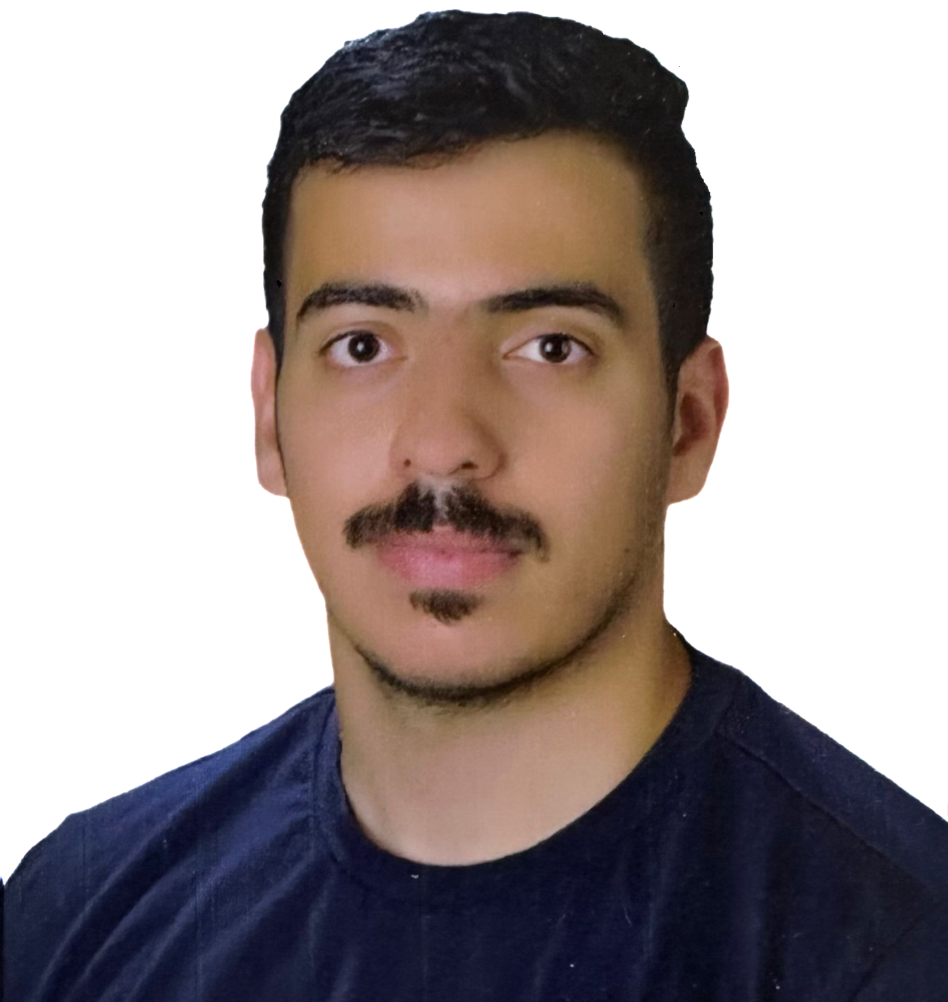 م. هشام زياد - محلل أنظمة